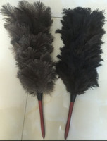 more images of Ostrich feather duster