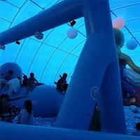 Inflatable Whale Theme Amusement Park  Applications: