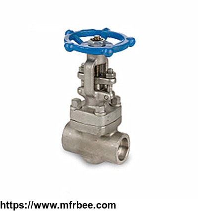 forged_stainless_steel_gate_valve_api_602_2_inch_800_lb_thread