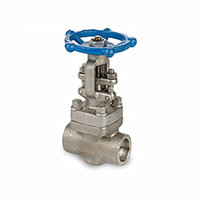 Forged Stainless Steel Gate Valve, API 602, 2 Inch, 800 LB, Thread
