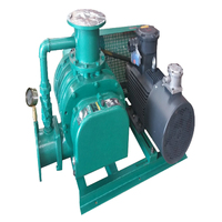 more images of Rotary Lobe Gas Blower Biogas Natural Gas Nitrogen Gas Booster Blower Roots Gas Blower