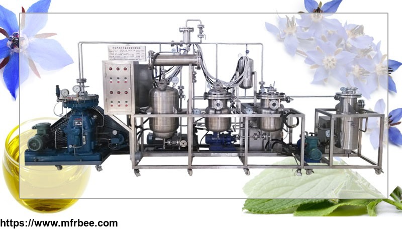 low_temperature_extraction_machine_for_borage_seed_oil_extract