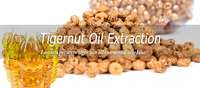 Low Temperature Tigernut Oil Production Process