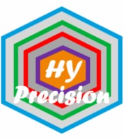 more images of HY Precision Painting