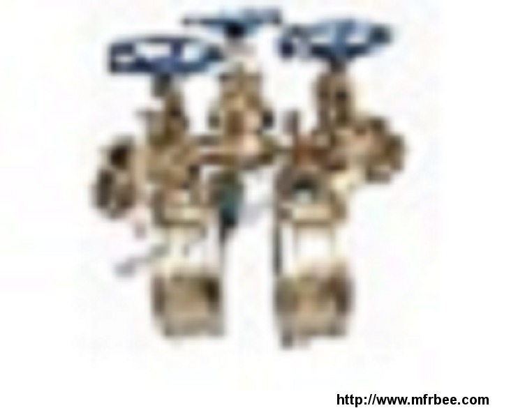 api600_bronze_valves