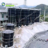 Biogas Digestion Anaerobic Waste Water Treatment Storage Tank Low Cost Customized Color