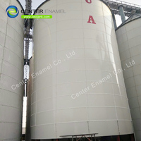 Biogas Plant Equipment Biogas Storage Tank Over 30 Years From China