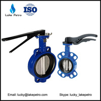 OEM DN50 Water oil gas Double flange butterfly valve
