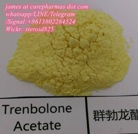 Factory supply Trenbolone Acetate 99.5% Purity  powder 10161-34-9 guarantee delivery
