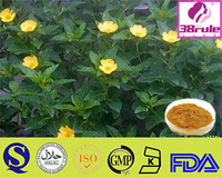 more images of Damiana Leaf Extract/ Damiana Extract