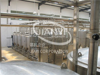 Professional complete fruit juice production line