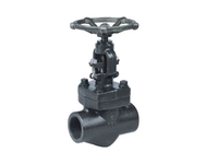 more images of Forged Steel Gate Valve