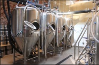 800L stainless steel fermentation tank for beer making plant