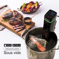 Touch Screen Led Display Wifi Sous Vide Works With Iphone Or Android