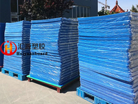 more images of 800gsm Polypropylene Corrugated Plastic Layer Pads