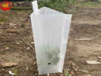 SGS Recyclable Clear Corrugated Plastic Tree Guards