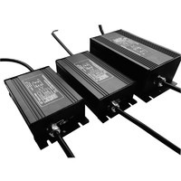 digital electronic ballast for grow lighting with CE,ROHS