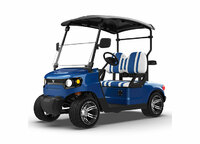 2 Seater Golf Cart