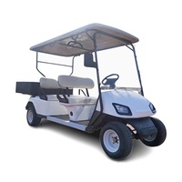more images of Electric Golf Carts