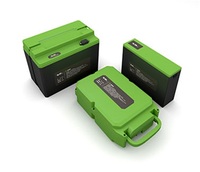 PERSONAL CARE BATTERY