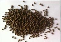 more images of fish feed