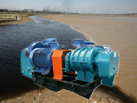 Sewage wastewater treatment aeration air blower sewage blower pumps for sale --fengyuan