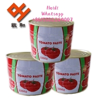 hot tomato sauce  tomato paste 2200g 28/30% China origin