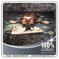 2015 hot sales promotional beach towels
