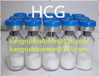 HCG(human chorioninc gonadotrophin)
