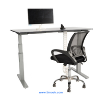 Timoek Two Motor Sit Stand Desk Supplier From China