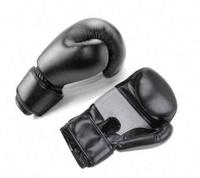 Black And Red Color Boxing Gloves 10oz For Training
