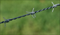 Double Twist Barbed Wire