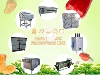 400-500kg/h Cashew nut peeling processing production line