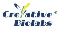 more images of Native™ Human Antibody Discovery Service