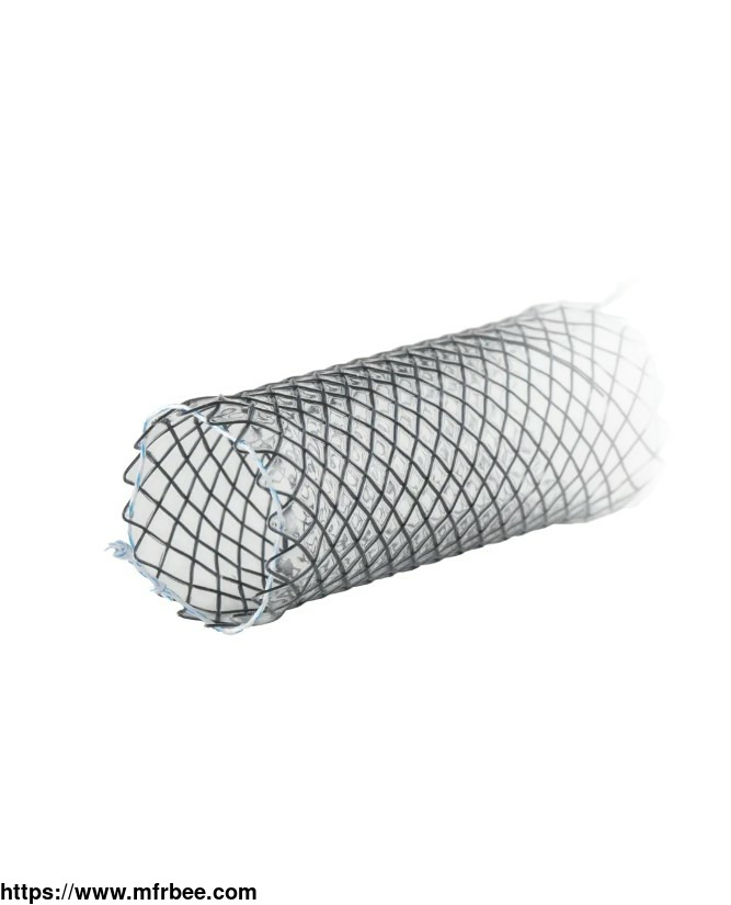 tracheal_bronchial_stents