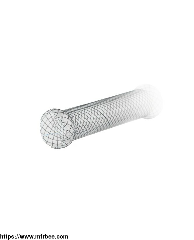 duodenal_stents