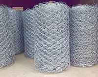 more images of Hexagonal Wire Netting