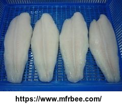 pangasius_fillet_well_trimmed