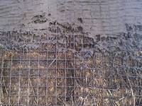 more images of Welded Wire Lath