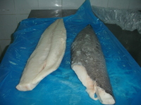 more images of frozen oilfish escolar fillet