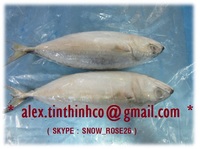 more images of frozen indian mackerel whole round