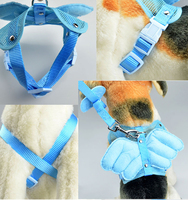 more images of LED Dog Collar Leash sets