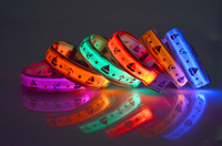more images of LED Nylon Dog Collar