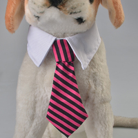 more images of Gentleman Look Pet Tie