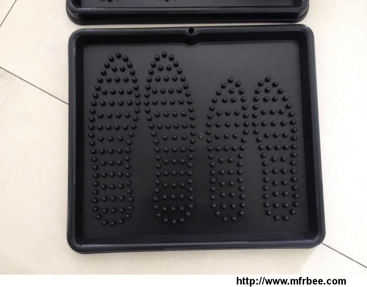 the_palstic_boot_tray_for_2_shoes