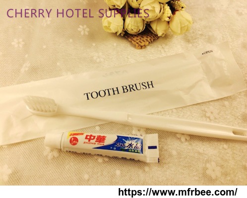 hotel_disposable_mini_toothpaste_toothbrush