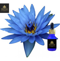 BLUE LOTUS ABSOLUTE | Meena perfumery