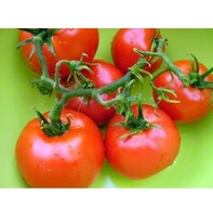 more images of Tomato Seed Oil