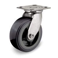 2 inch wide caster