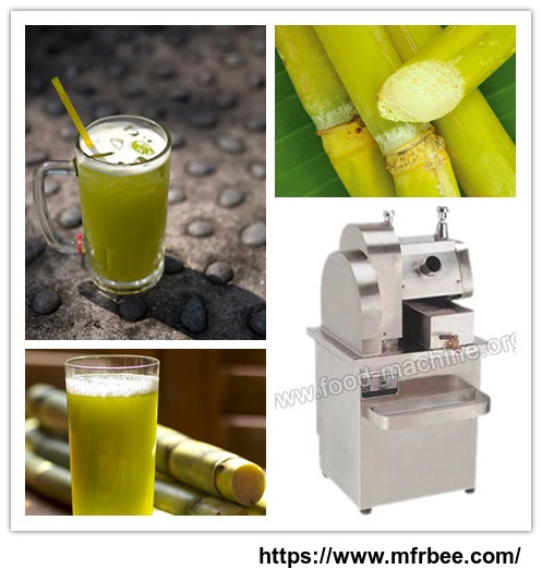 vertical_sugarcane_juice_extractor